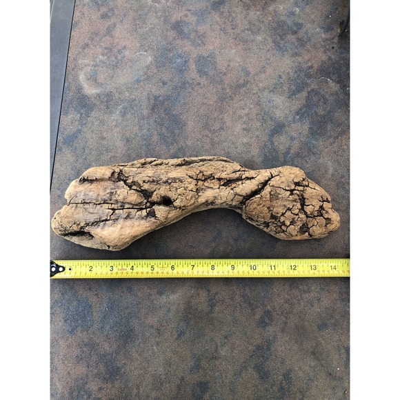 Natural Driftwood for Plants Terrarium Taxidermy Art Projects - Picture 2 of 6